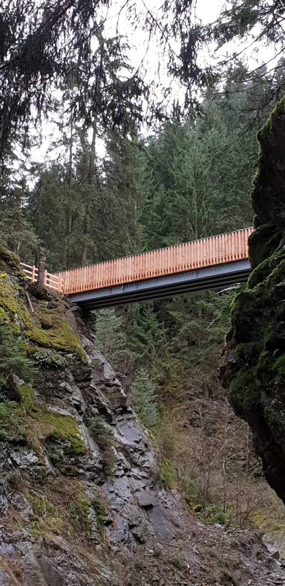 Fußgängerbrücke über den Masulbach Schenna